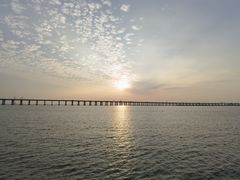 -宝安西湾红树林湿地公园