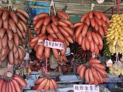 -南沙十九涌渔人码头-南门