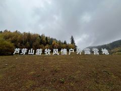 -芦芽山旅游度假区