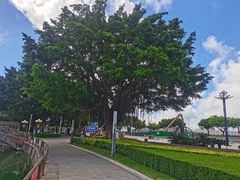 -石炮台公园