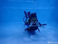 -上海潜殿潜水中心