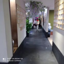 -盘子女人坊生日照·摄影馆(华强店)