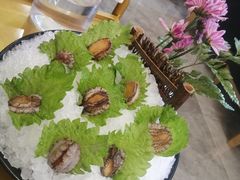-鼎凰花胶鸡·椰子鸡火锅(长嘉汇店)