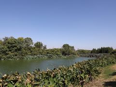 -艾溪湖湿地公园