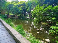 -成都市活水公园