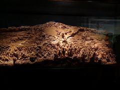 -上海市龙华烈士陵园