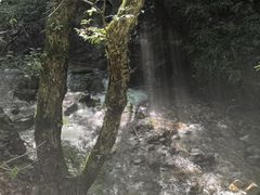 -本溪汤沟绿石谷森林公园