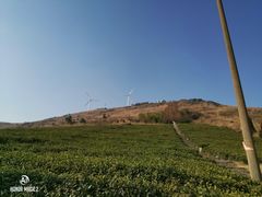 -东白山