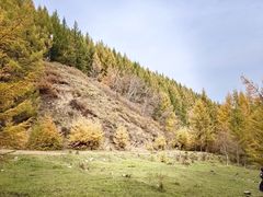 -苏木山森林公园