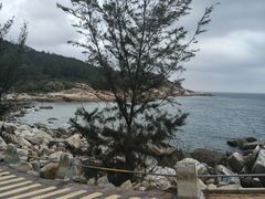 -广东惠东海龟国家级自然保护区