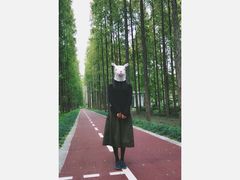 -黄海国家森林公园