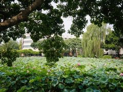 -西南交通大学(九里校区)