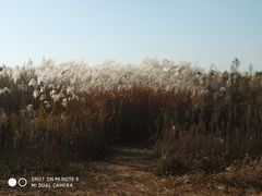 -泰安地下龙宫景区