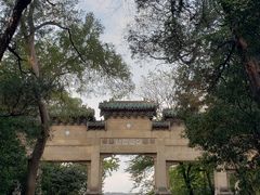 -灵谷景区