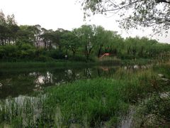 -新江湾城公园