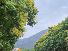 -玄武湖景区-情侣园游乐场