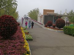 -大兴滨河森林公园