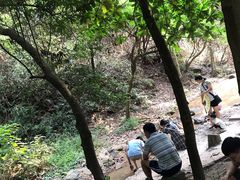 -火炉山森林公园