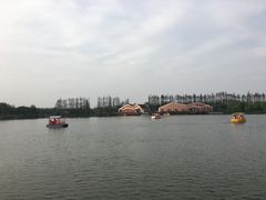 -上海长兴岛郊野公园