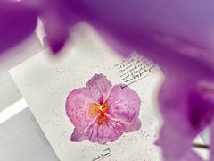 -米秝艺术Mili Bloom(天山校区)