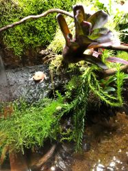 -酷嗒动物文化乐园(cutezoo西溪乐天城店)