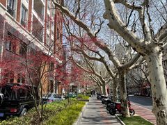 -一尺花园(安和花园店)