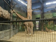 -鄂尔多斯野生动物园