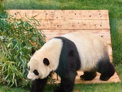 -无锡动物园·太湖欢乐园