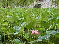 -长春市南湖公园