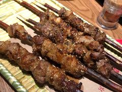 红柳-鸽子窝(青塔店)