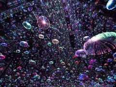 -深圳独角兽星空艺术馆