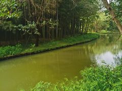 -同里国家湿地公园