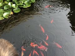 -昆明洲际酒店