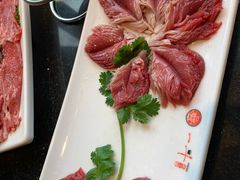 -一斗火锅·招财羊毛肚(北温泉九号店)