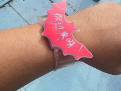 -广州长隆欢乐世界