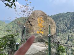 -南山植物园