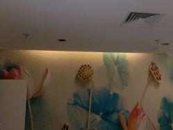 -梵茜儿·头道汤养生馆