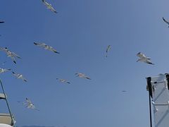 -长岛南北长山旅游景区