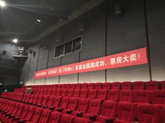 -沃美影城蜀山万象汇店(WMX巨幕)