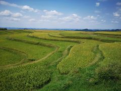 -贵阳市花溪国家城市湿地公园