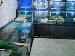 水产区-桔子海鲜烧烤大排档(金沙滩店)