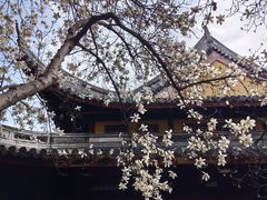 -龙华寺