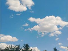 -东北大学(南湖校区)