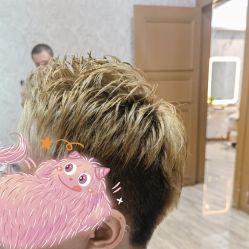 -诗全发型