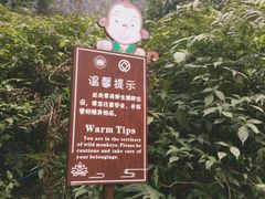 -峨嵋山金顶