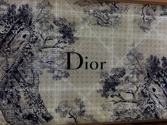 -Dior迪奥(国贸商城店)