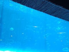 -西安华夏文旅水世界