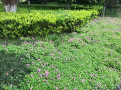 -杭州城北体育公园