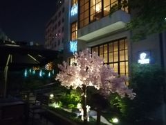 -徐家汇源景区-衡山坊
