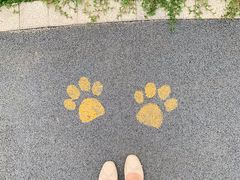 -景田北六街公园宠物主题园